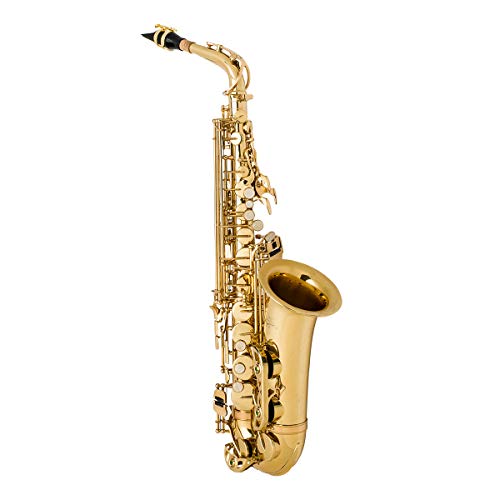 Student Alto Saxophone Bundle J752