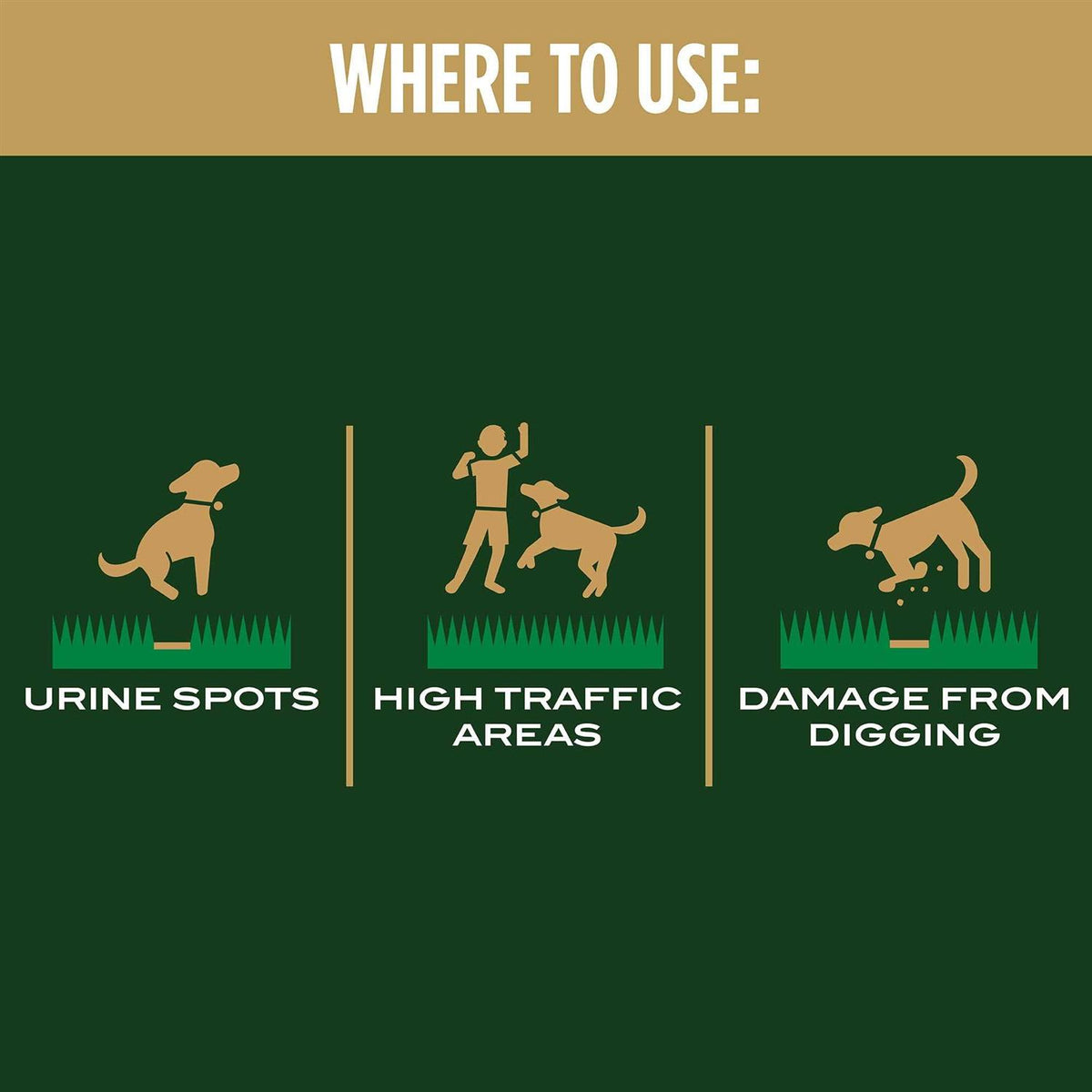 Dog Spot Repair H4213