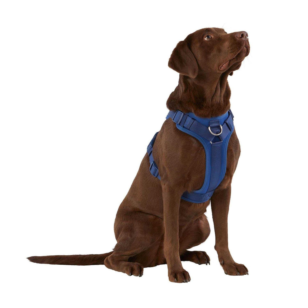 Neoprene Dog Harness F2486