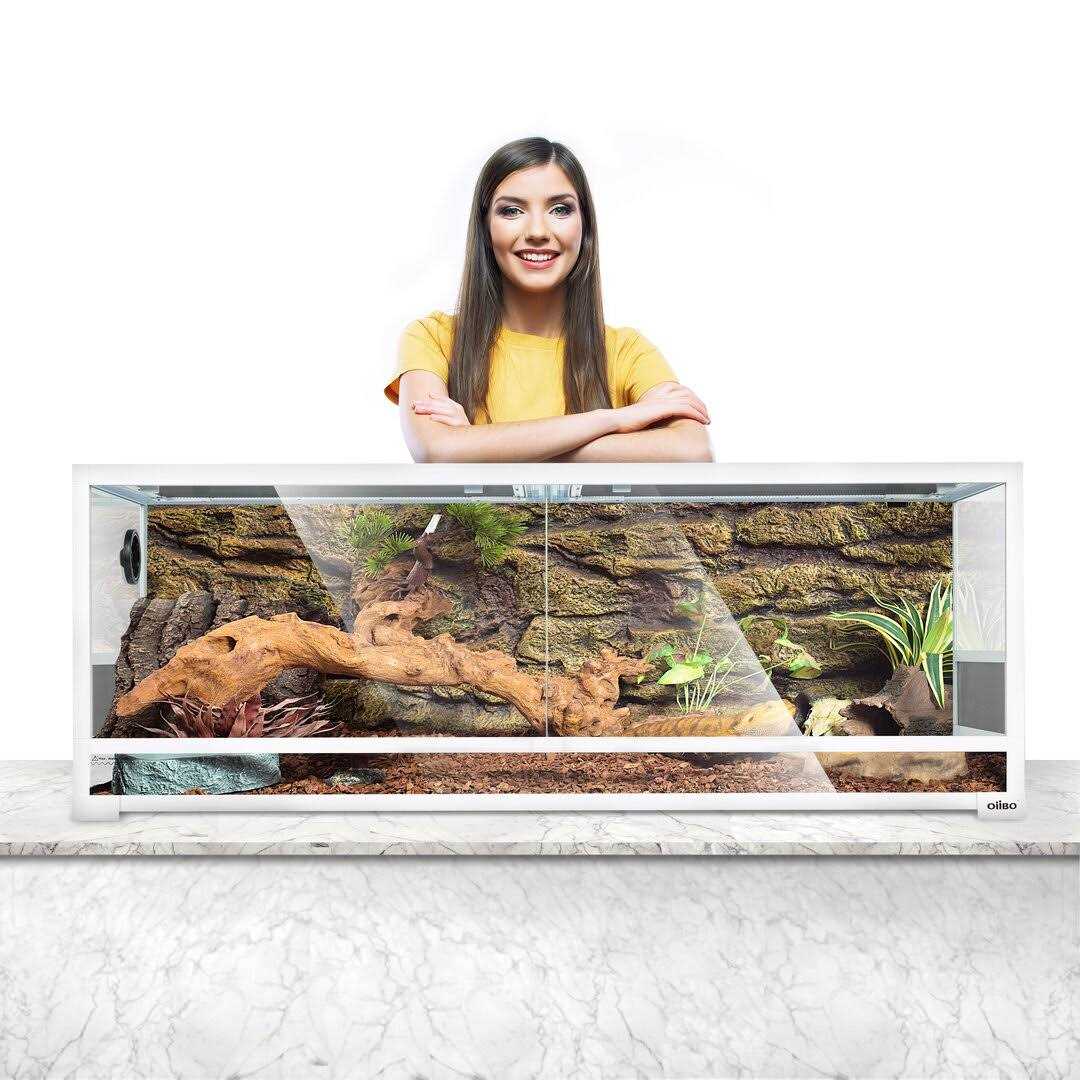 64 Gallon Terrarium Y5357