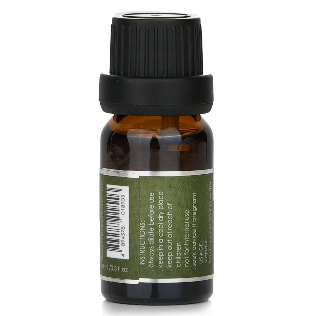 Rosal Fragrance Oil 10ml K932