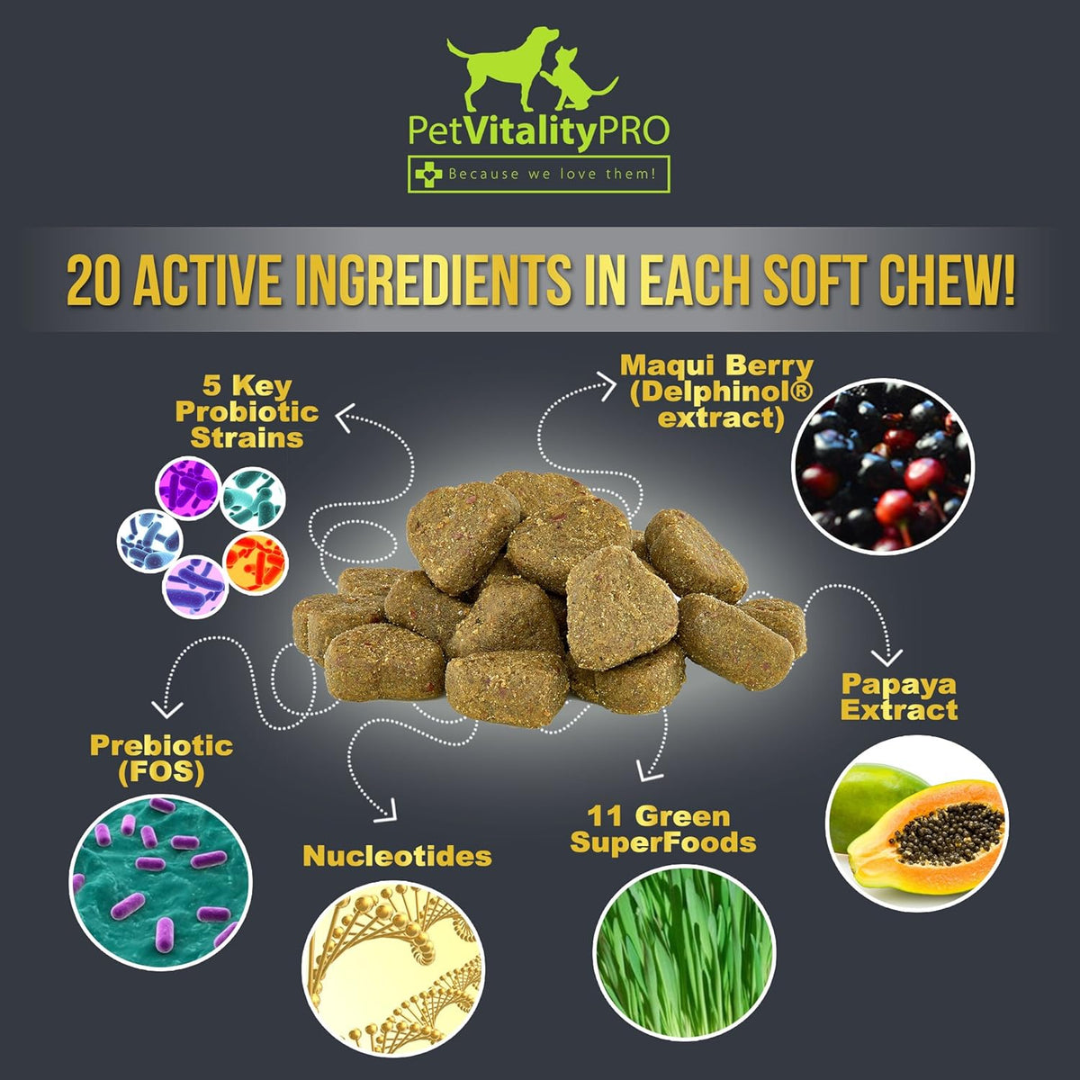 Probiotics for Dogs with Natural Digestive Enzymes, 4 Bill CFUs/2 Soft Chews, 60 Count J97259
