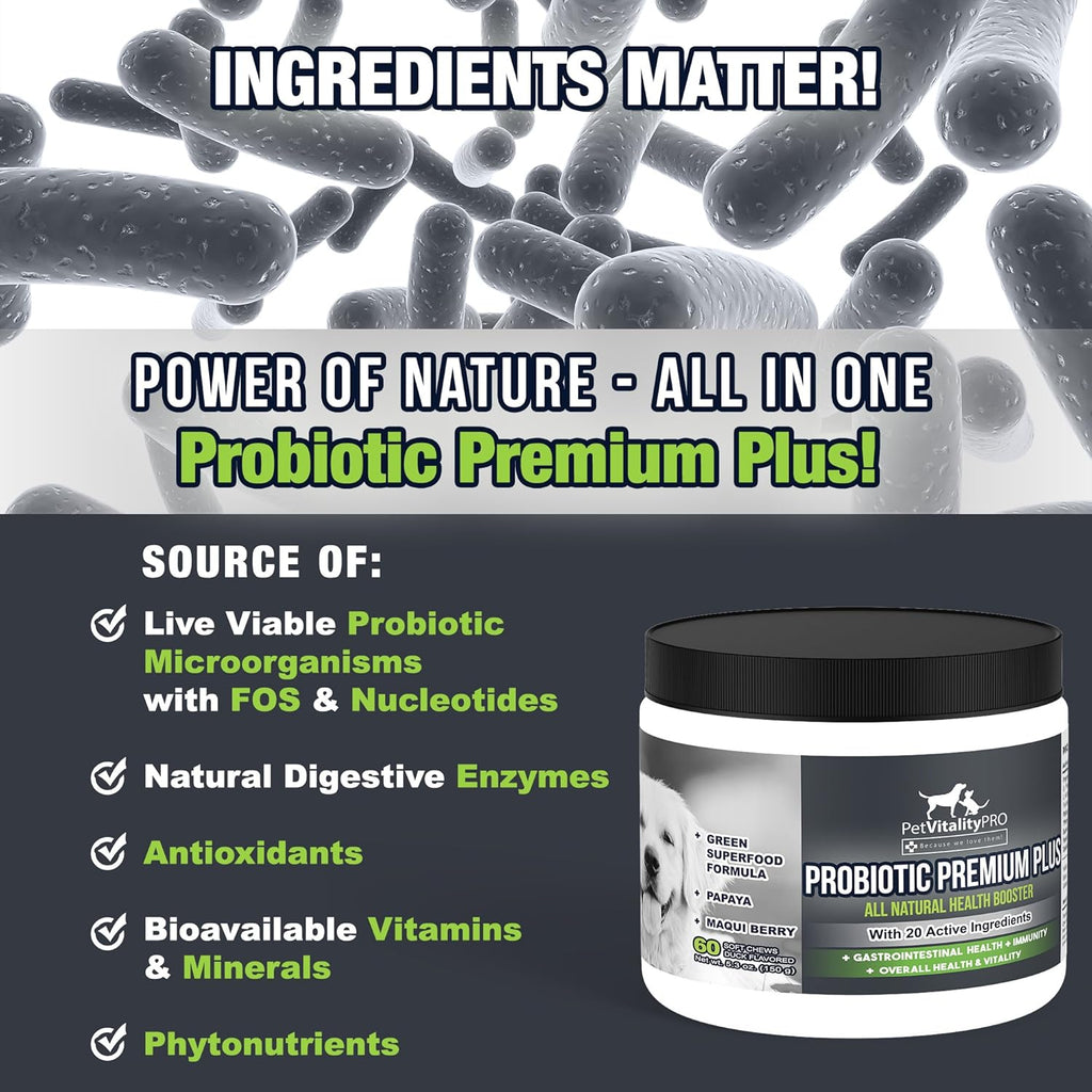 Probiotics for Dogs with Natural Digestive Enzymes, 4 Bill CFUs/2 Soft Chews, 60 Count J97259