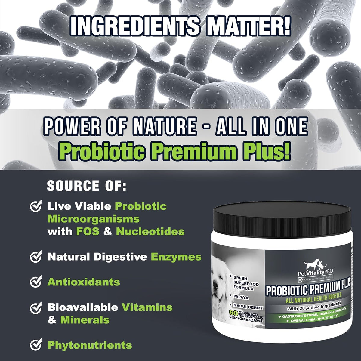 Probiotics for Dogs with Natural Digestive Enzymes, 4 Bill CFUs/2 Soft Chews, 60 Count J97259