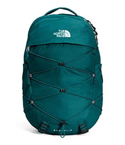 Laptop Backpack P900