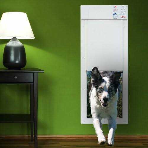 Motorized Pet Door A682