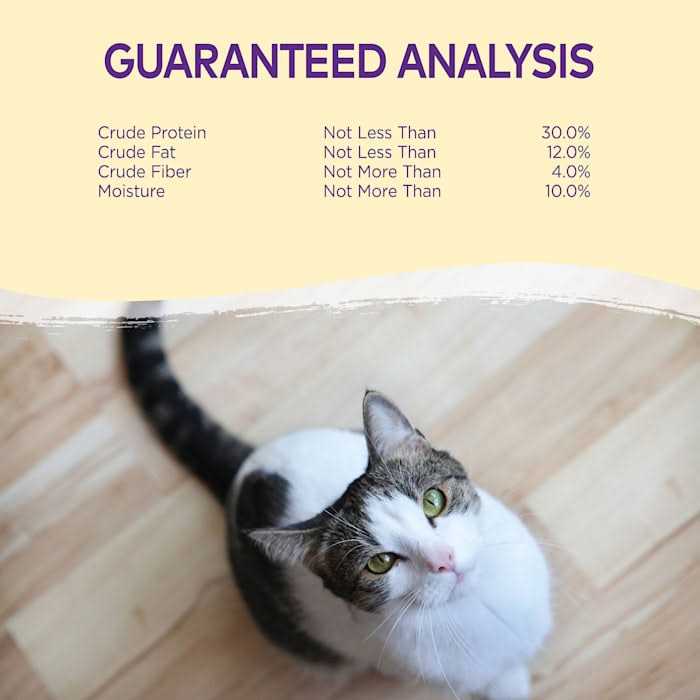 Cat Treats K1317