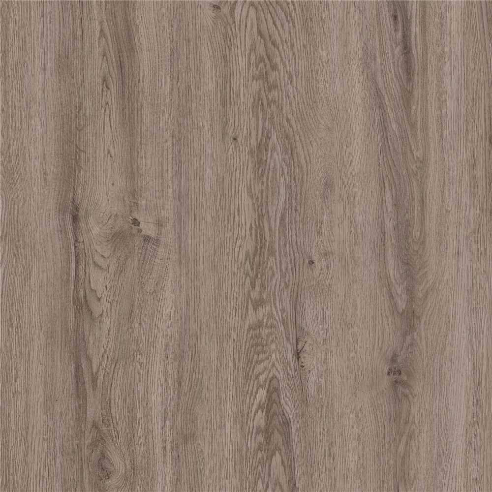 6 in. x 48 in. Silver Oak Glue Down Vinyl Plank Flooring G344288