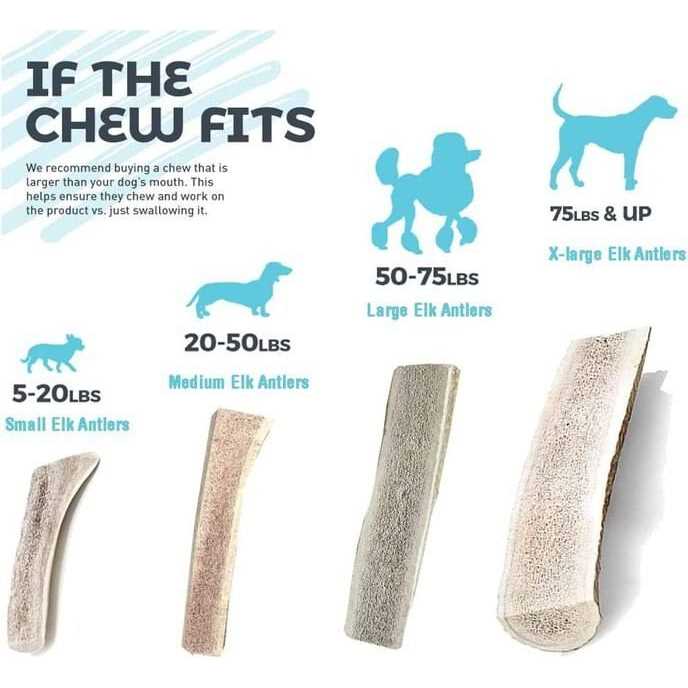 Split Elk Antlers for Dogs E1753