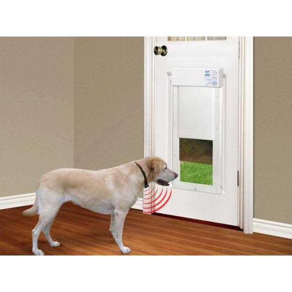 Motorized Pet Door A682