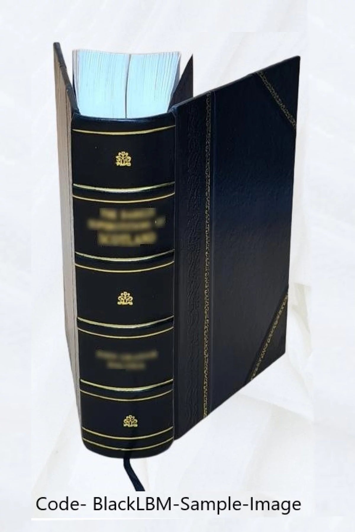 1920 Census Population Schedules Illinois Leather Bound K618689