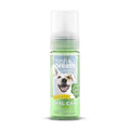 Fresh Breath Mint Foam L146441