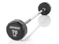 Fixed Barbells Size 70 lb D608407