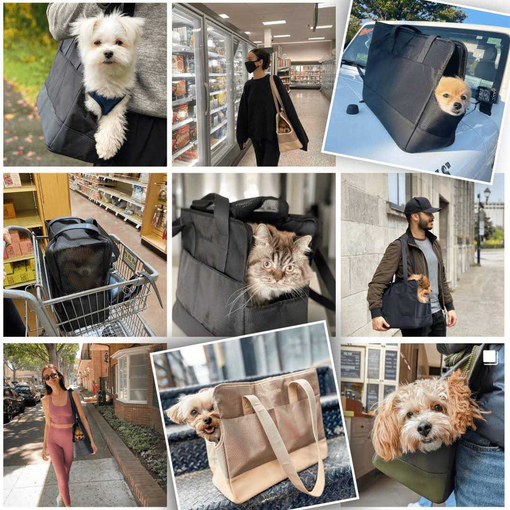 Pet Tote Bag for Small Dogs and Cats Z387
