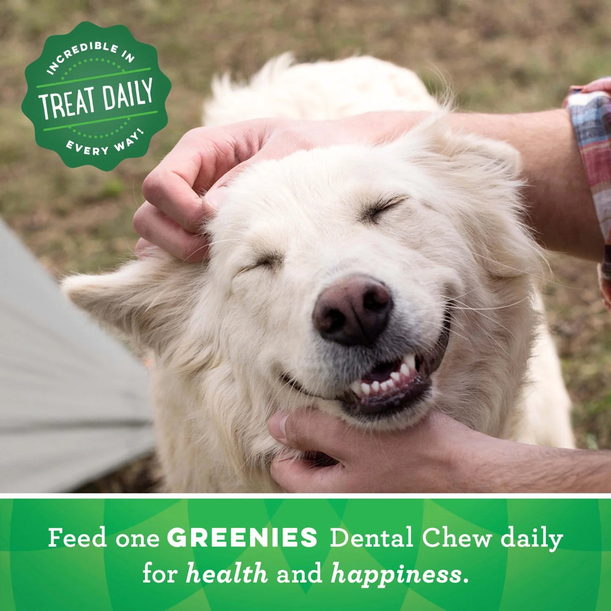 18 oz Pouch (4 Pack) Dental Treats for Dogs N1753