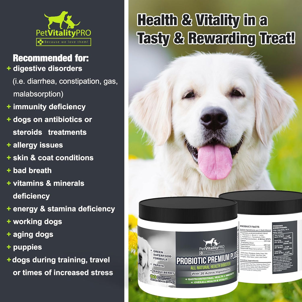 Probiotics for Dogs with Natural Digestive Enzymes, 4 Bill CFUs/2 Soft Chews, 60 Count J97259