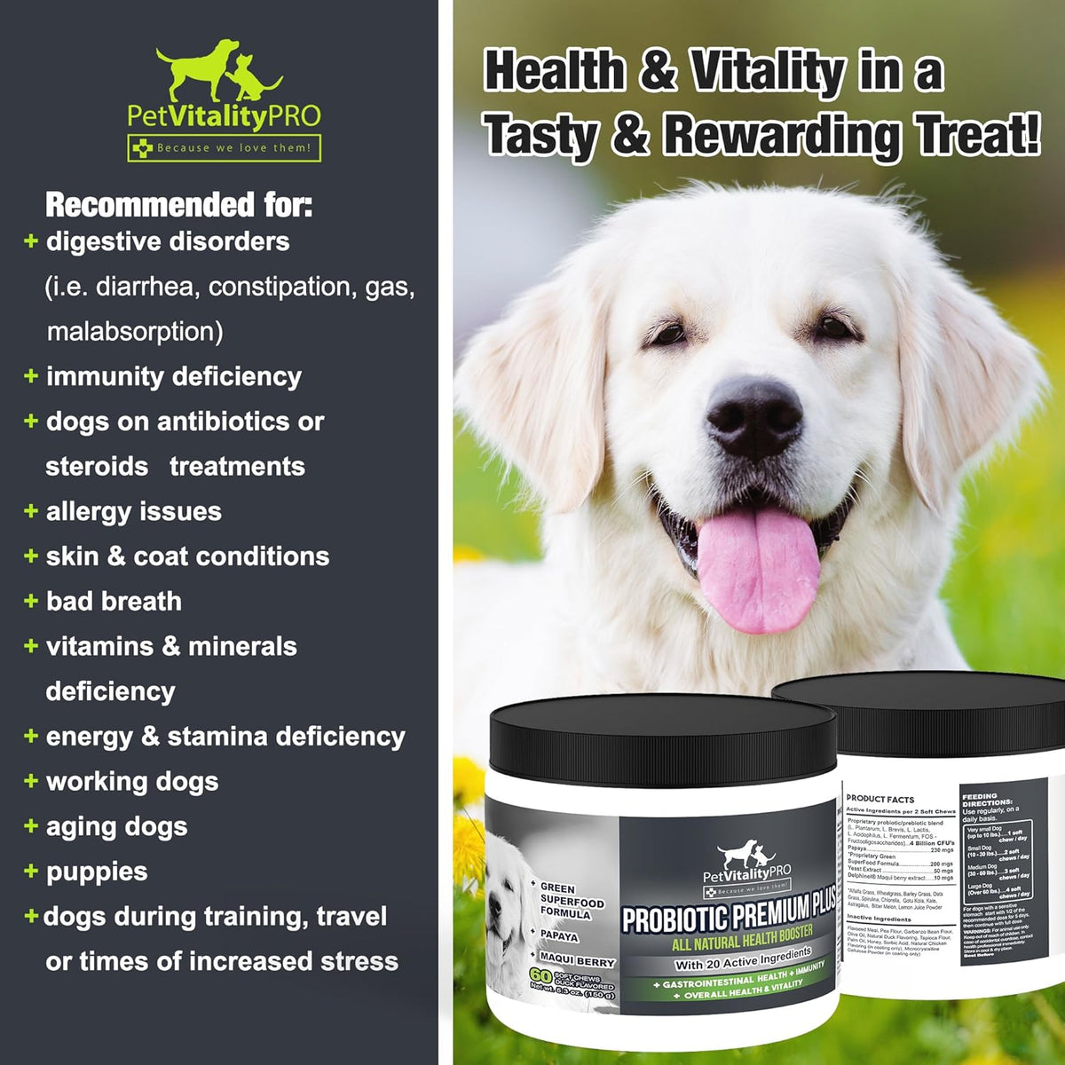 Probiotics for Dogs with Natural Digestive Enzymes, 4 Bill CFUs/2 Soft Chews, 60 Count J97259