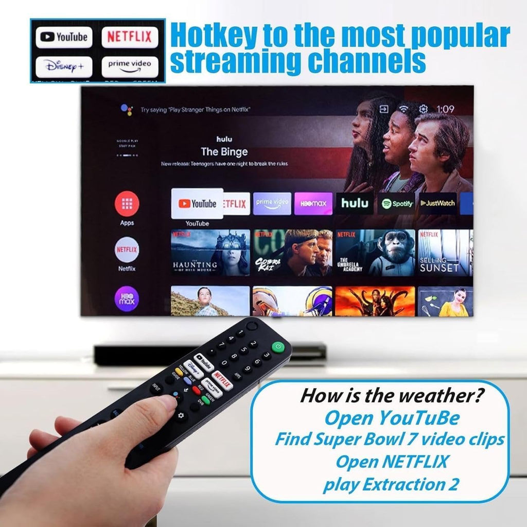 Smart Voice TV Remote Control L44794