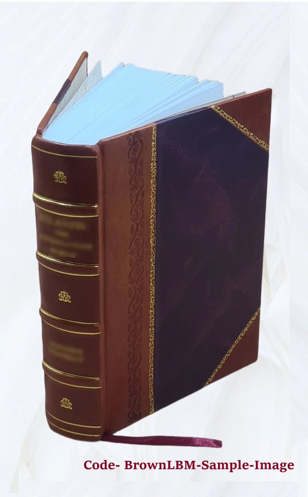 1920 Census Population Schedules Illinois Leather Bound K618689