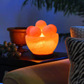 6 inches 8 lbs. Himalayan Salt Lamp with Dimmer Switch and Extra Bulb D145282