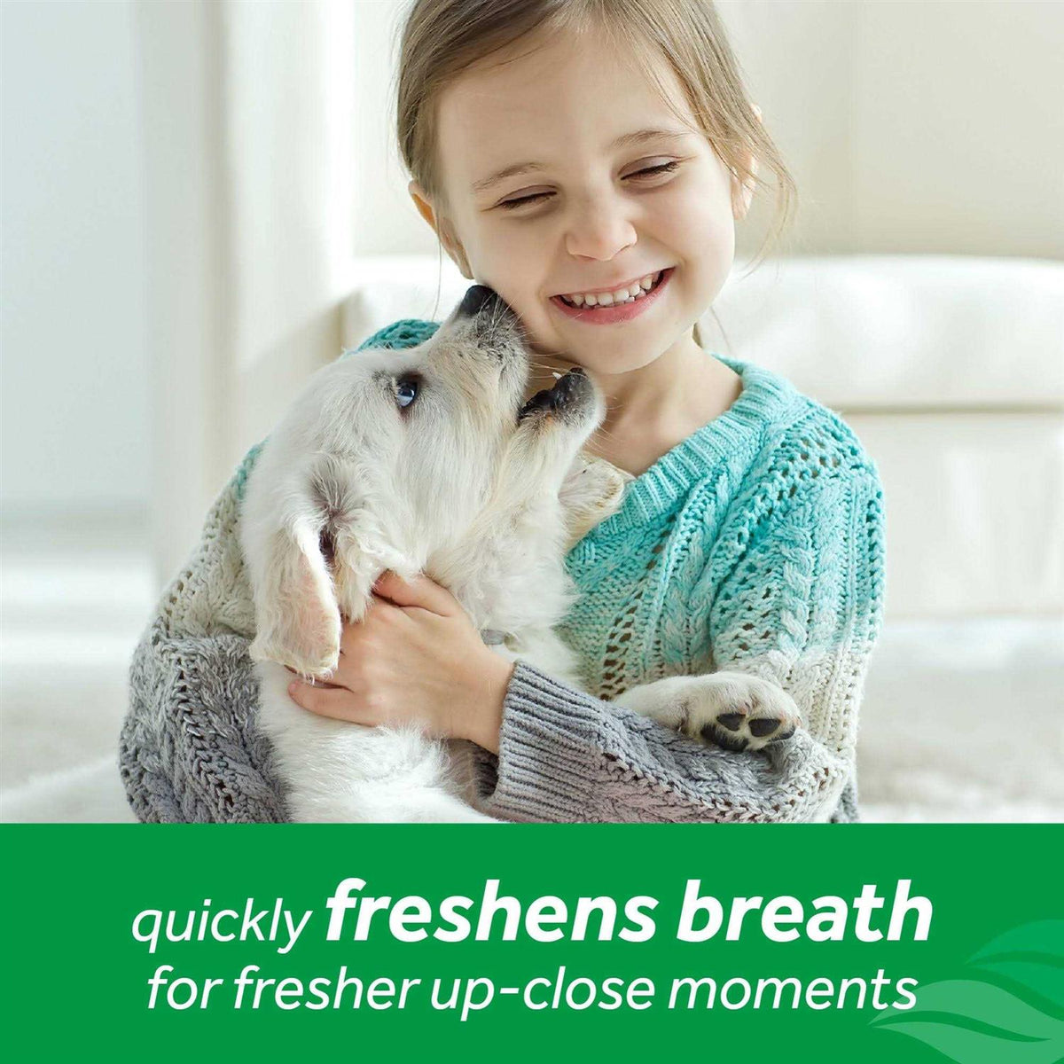 Fresh Breath Mint Foam L146441