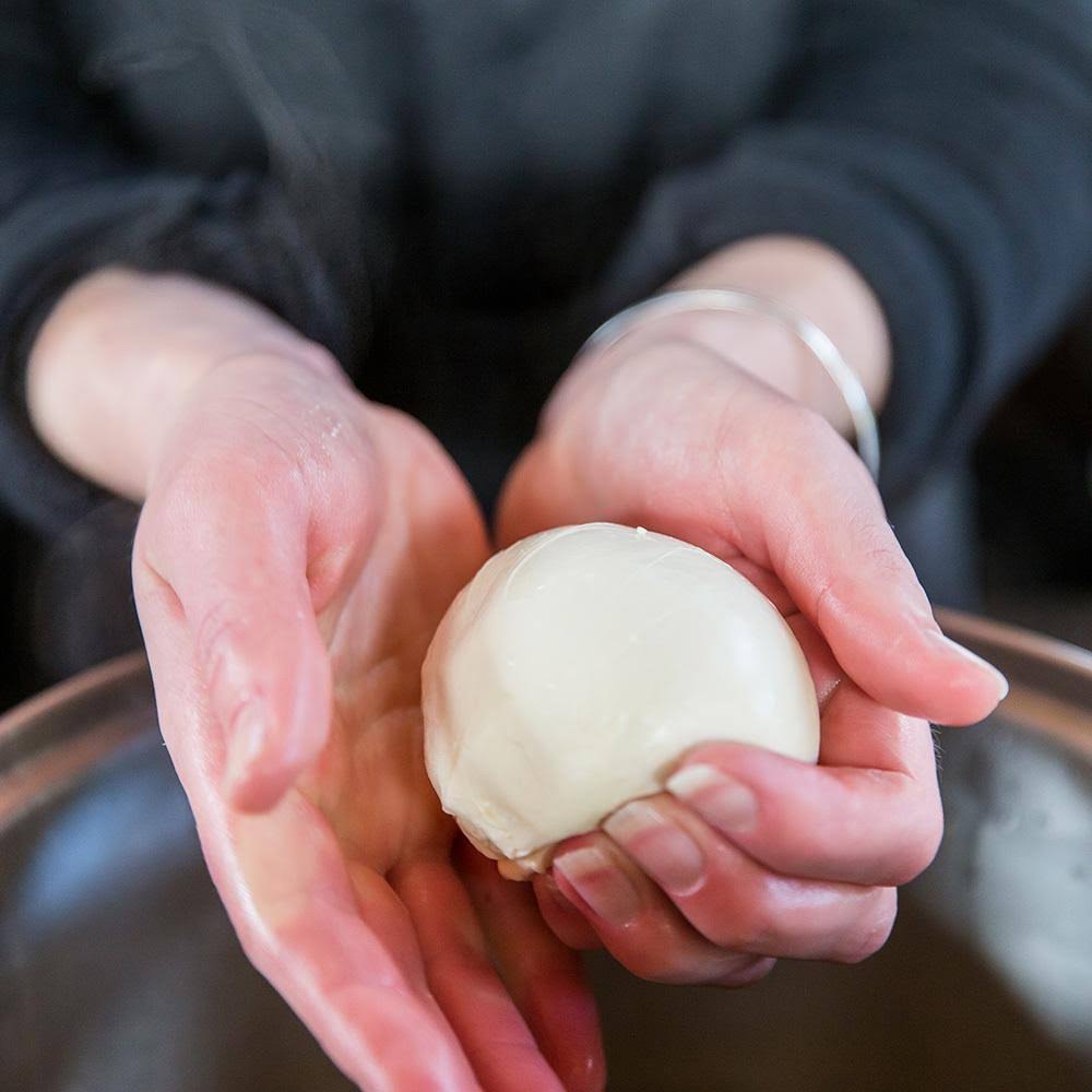 Artisan Cheese Kit L2511