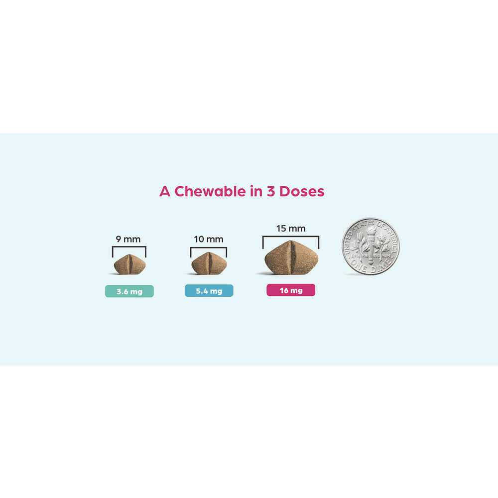 Chewable for Dogs Z671