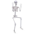 5.9Ft Posable Plastic Skeleton C2358