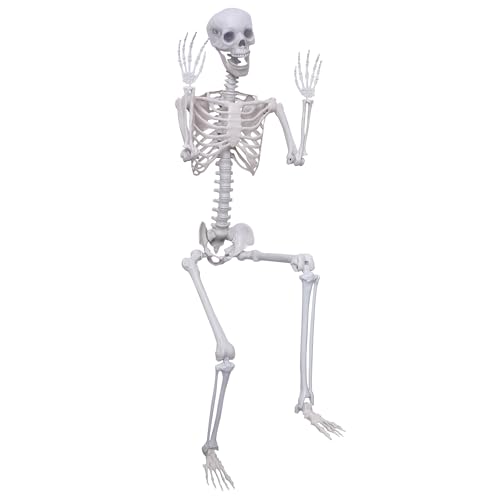 5.9Ft Posable Plastic Skeleton C2358