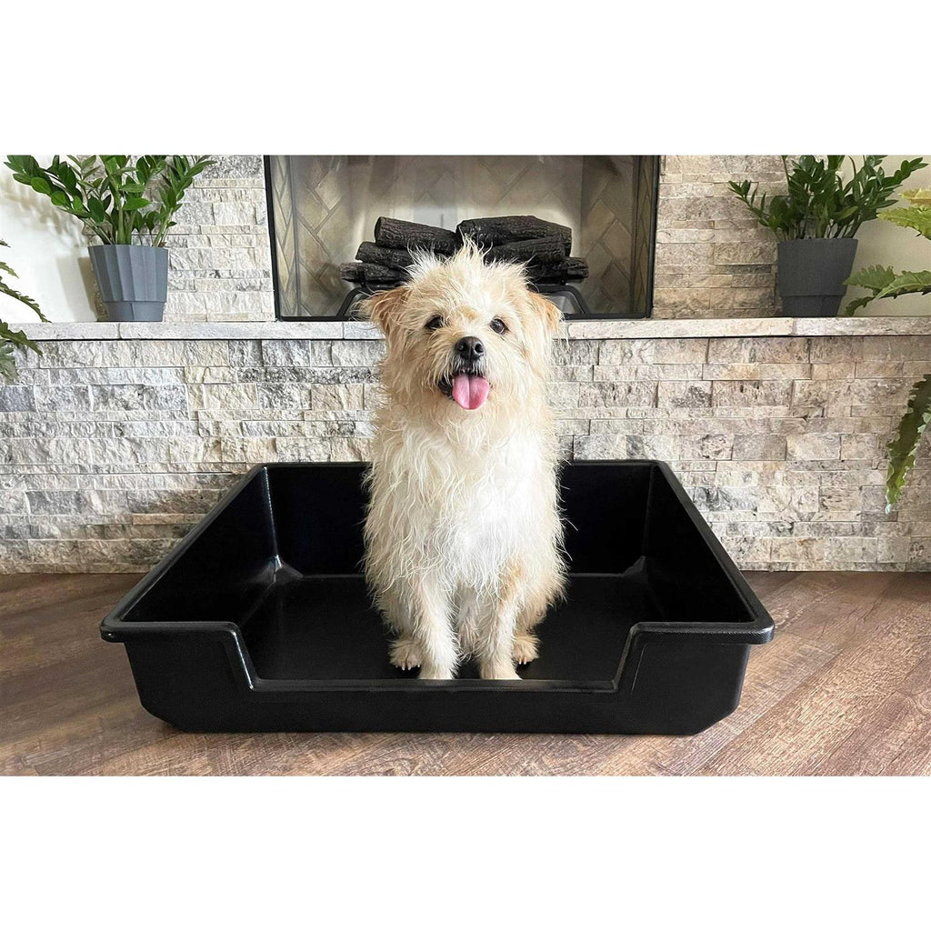 Extra Large Litter Box C751