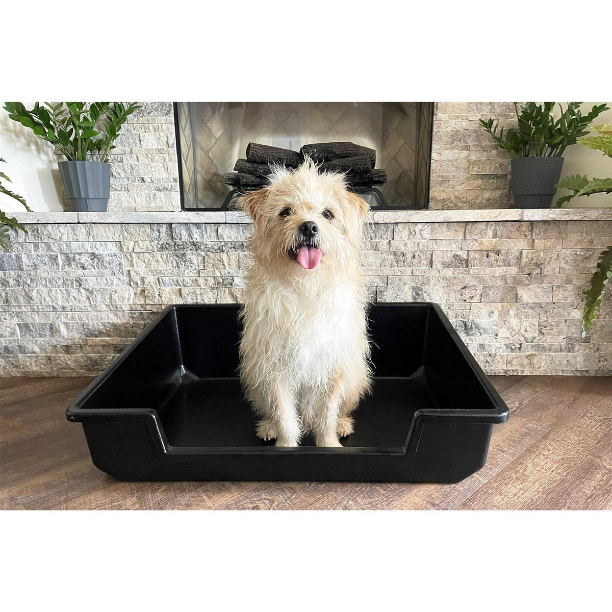Extra Large Litter Box C751