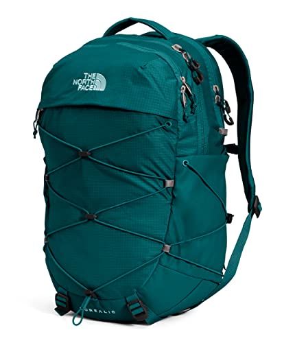 Laptop Backpack P900