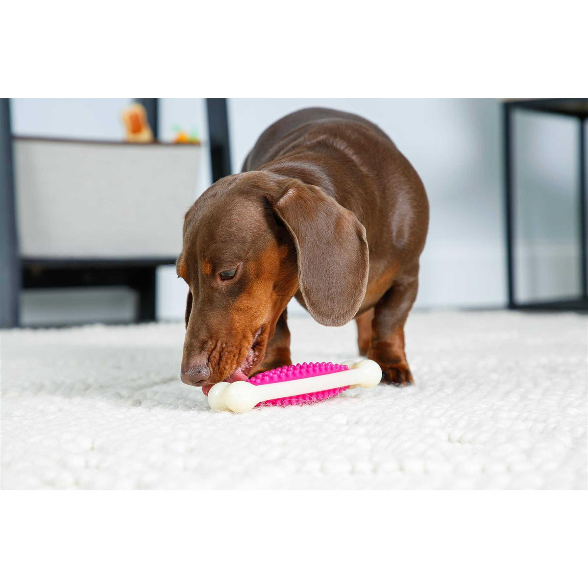 Chew Toy J76756