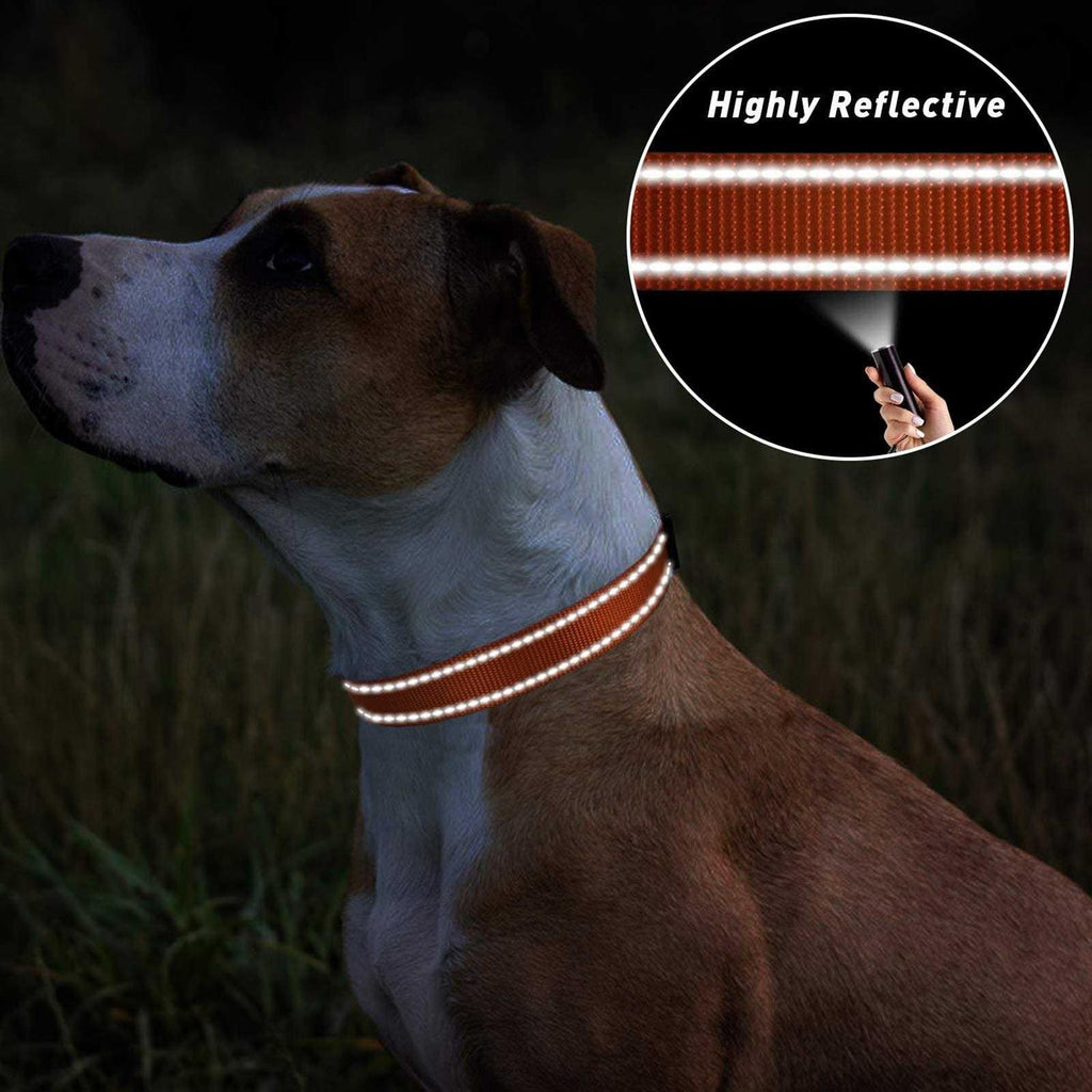 Reflective Nylon Adjustable Dog Collar with Quick Release Buckle Q397199
