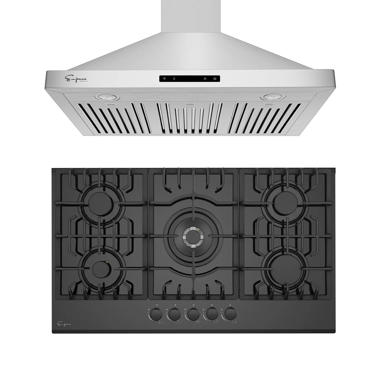 30" Gas Cooktop and 30" Wall Mount Range Hood E883