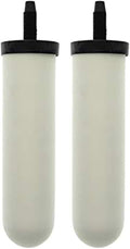 Ceramic Candle Filter (2 PACK) Q269