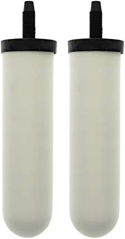 Ceramic Candle Filter (2 PACK) Q269
