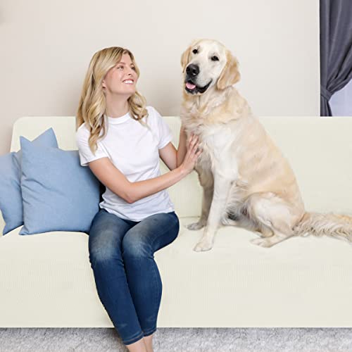 Ivory Stretch Couch Cover Set 1 Piece Sofa Slipcover with Cushion Cover for 2 Cushion Loveseat C4775