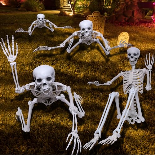 5.9Ft Posable Plastic Skeleton C2358