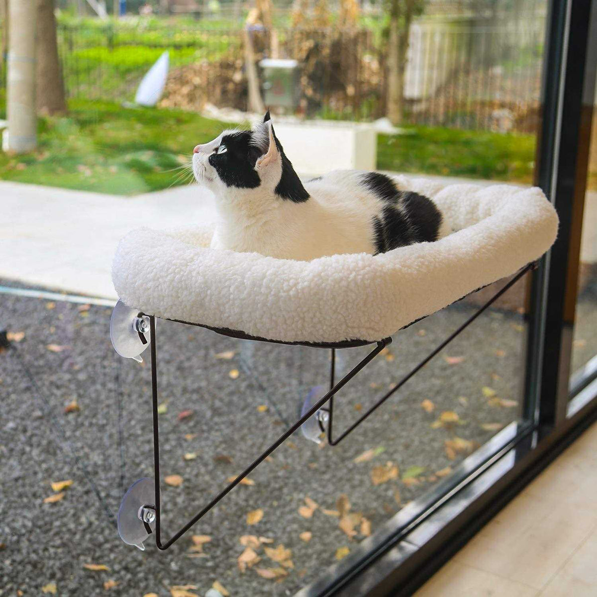 Cat Window Perch Metal Supported O918
