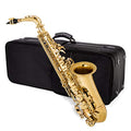 Student Alto Saxophone Bundle J752