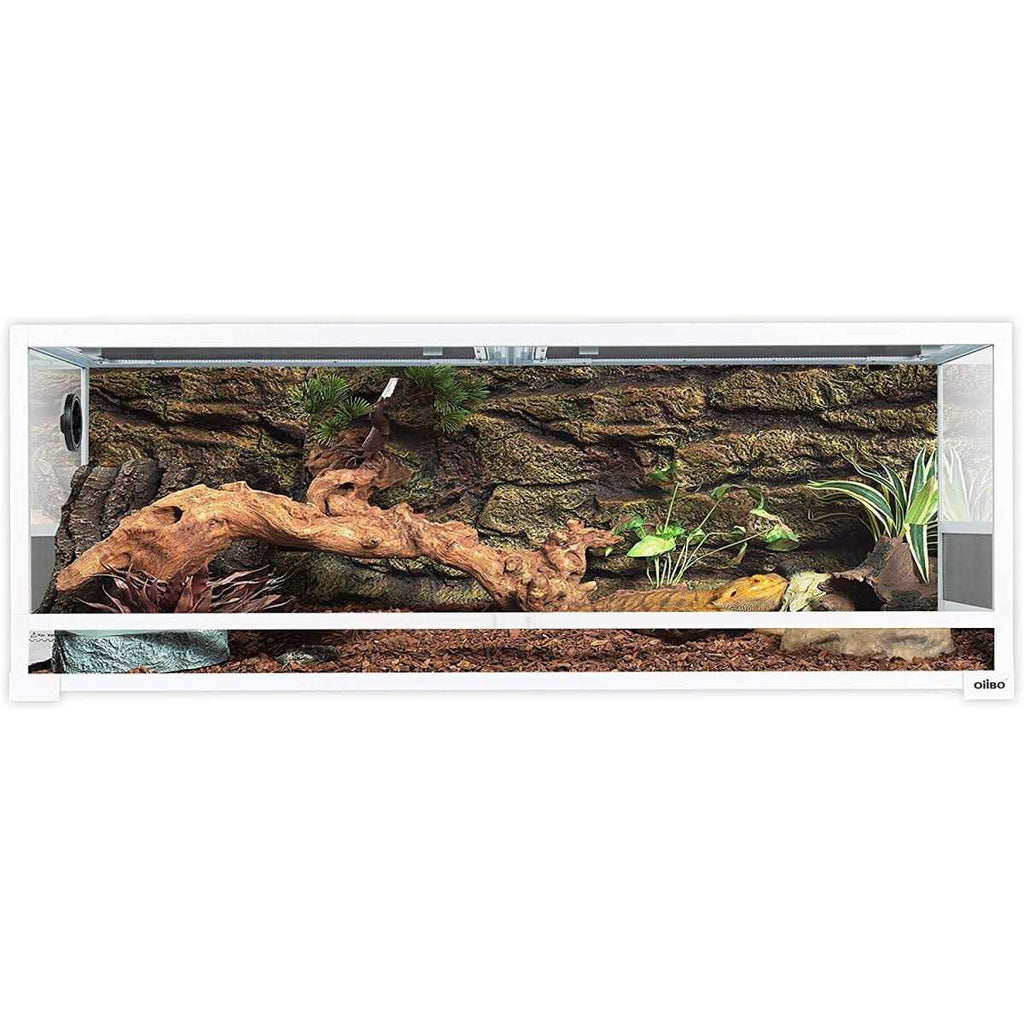 64 Gallon Terrarium Y5357