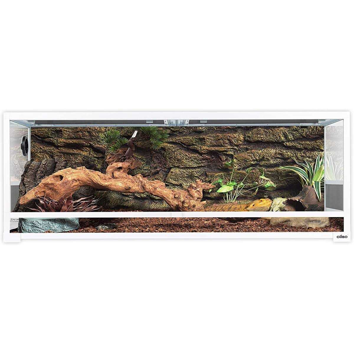 64 Gallon Terrarium Y5357