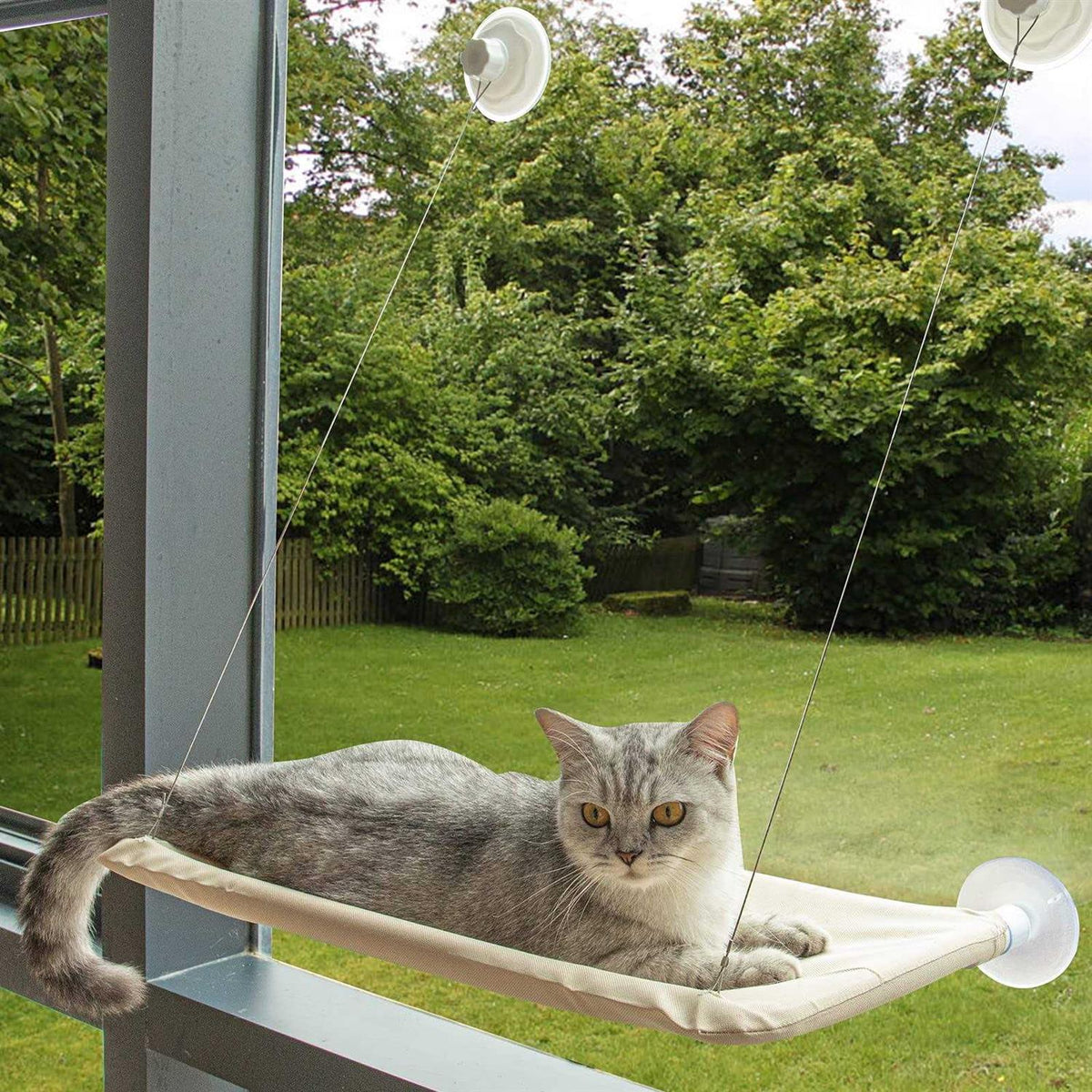Cat Window Perch Cat Window Hammock Y65913
