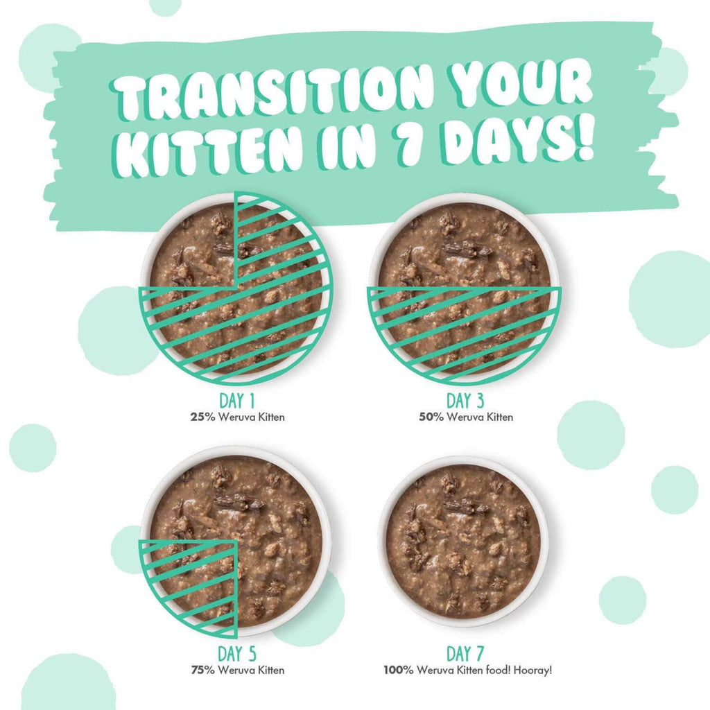 Chicken & Tuna Formula in Gravy Wet Cat Food G80867
