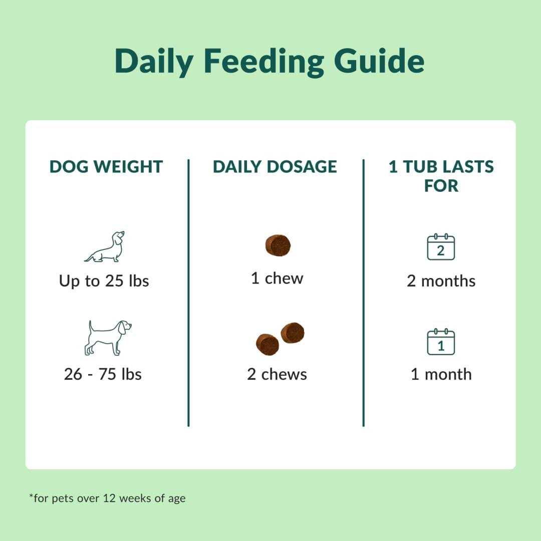 Chewable Dog Hip and Joint Supplement I302