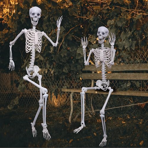 5.9Ft Posable Plastic Skeleton C2358