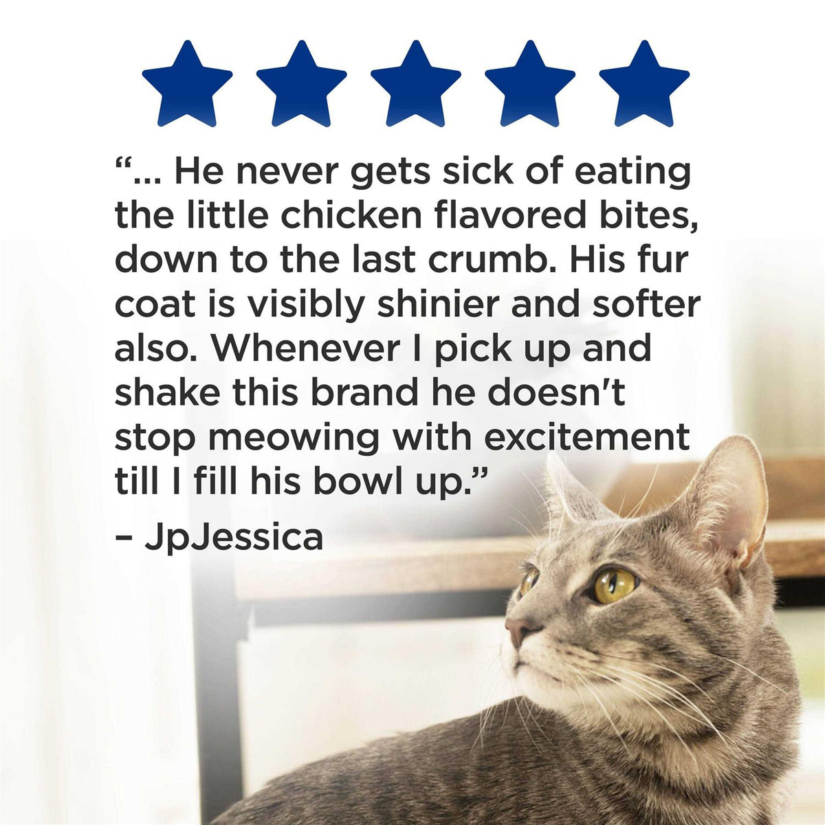 Dry Cat Food A471