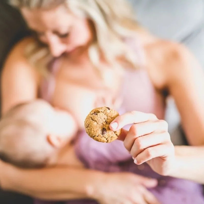 Oatmeal Raisin Soft Baked Lactation Cookie Mix 15oz W587760
