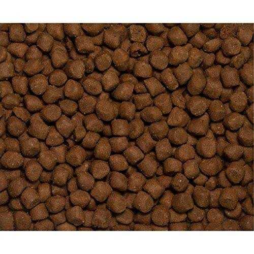 Dry Dog/Cat Food L163